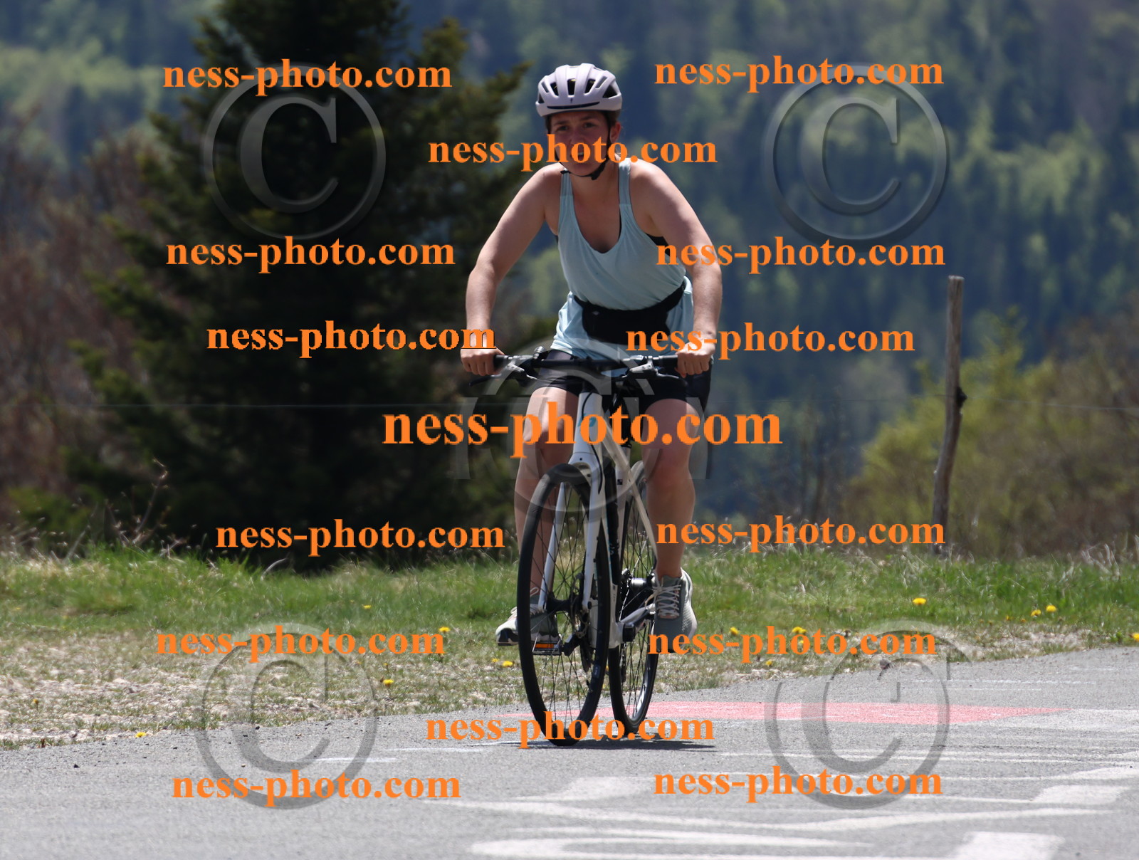 Col du Grand Colombier (427).JPG