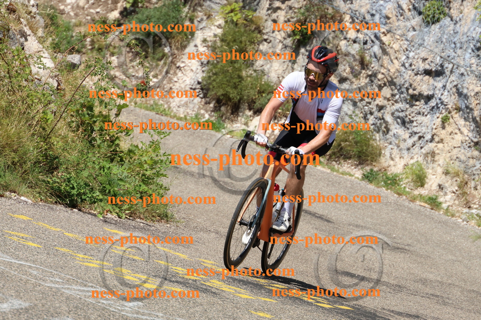 Col du Grand Colombier (494).JPG