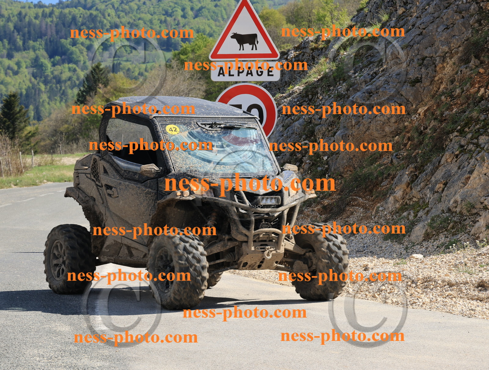 Col du Grand Colombier (225).JPG