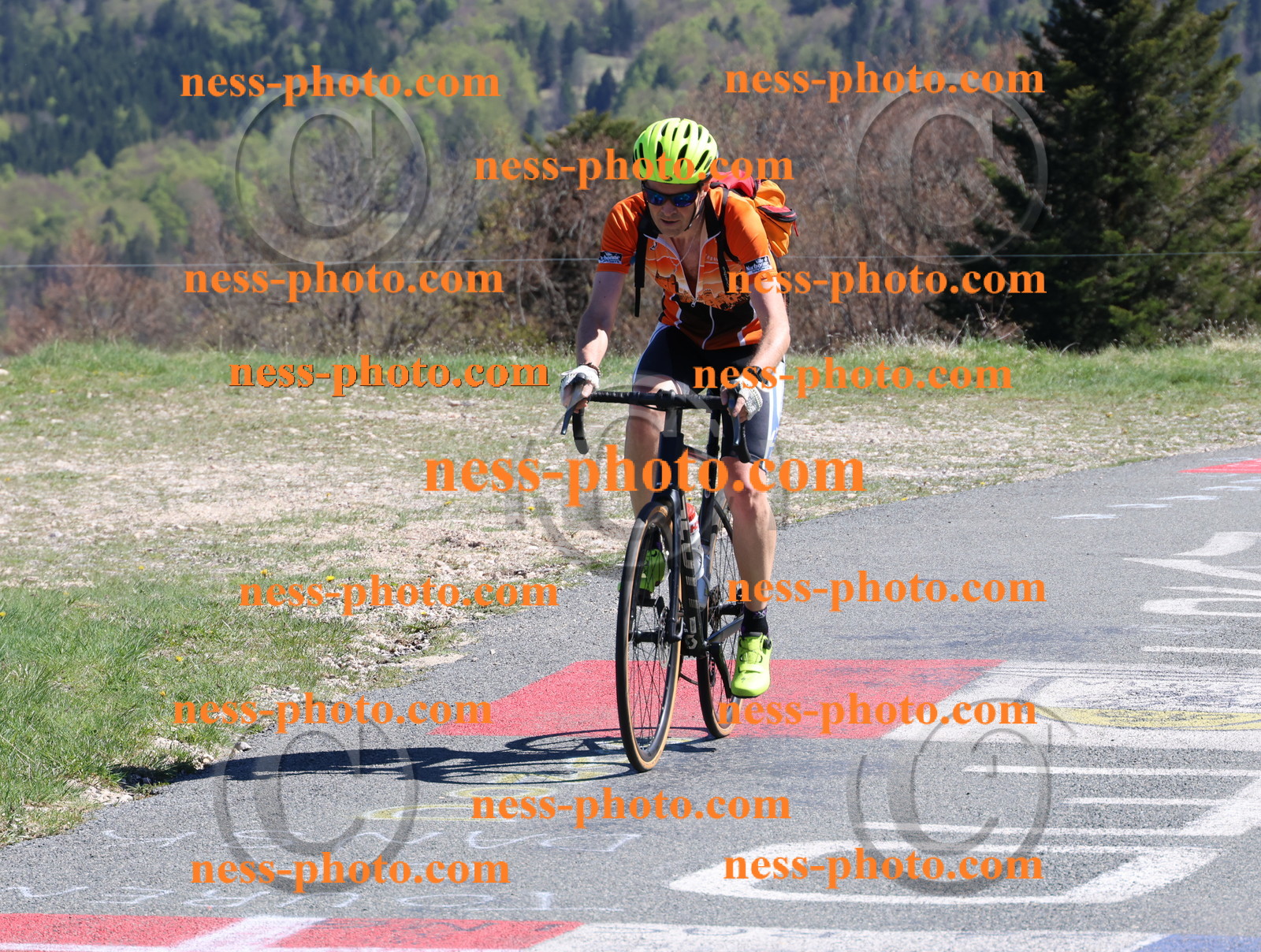 Col du Grand Colombier (1029).JPG