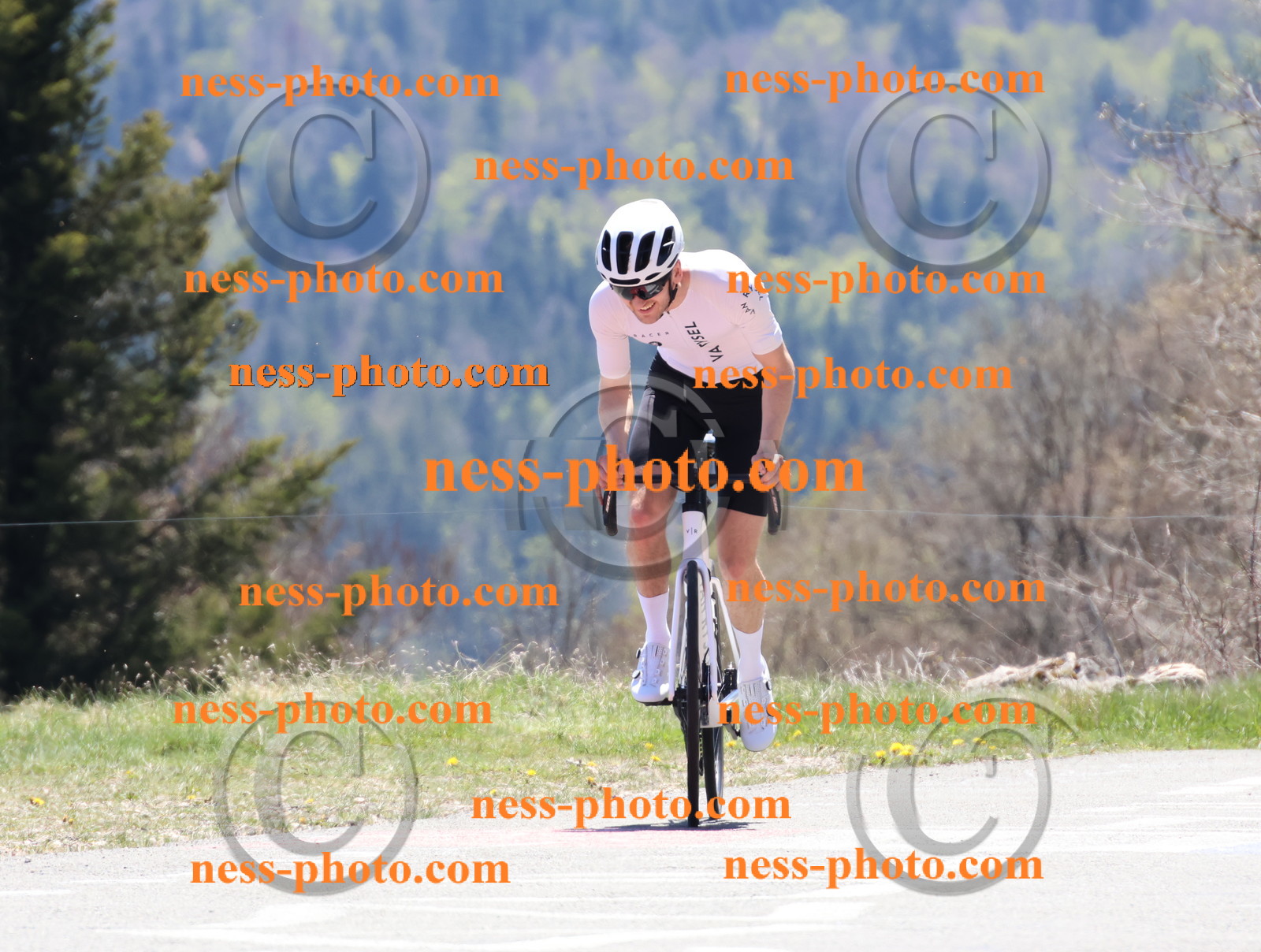 Col du Grand Colombier (549).JPG