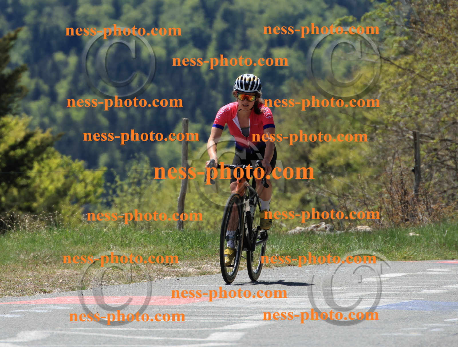 Col du Grand Colombier (161).JPG