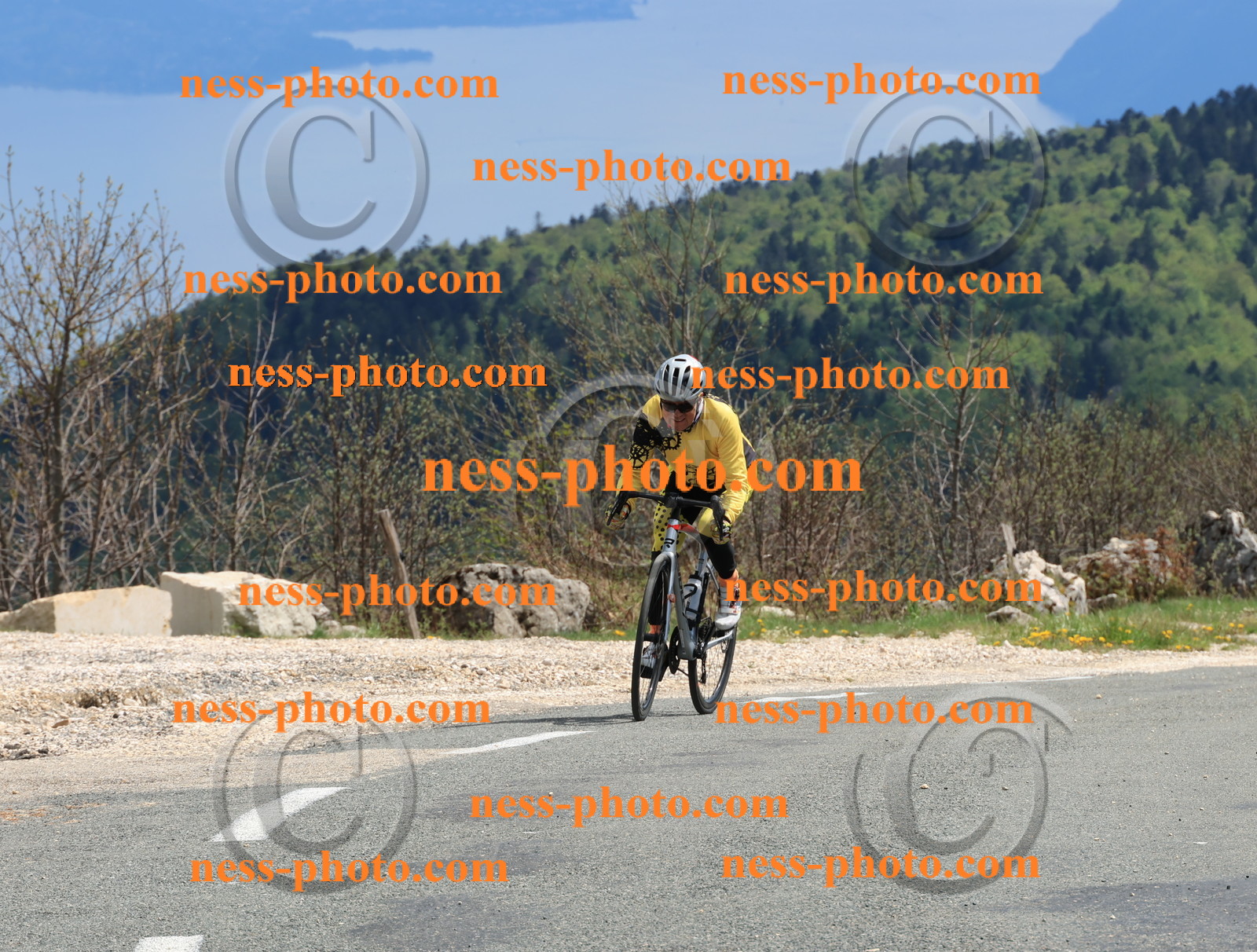 Col du Grand Colombier (3141).JPG