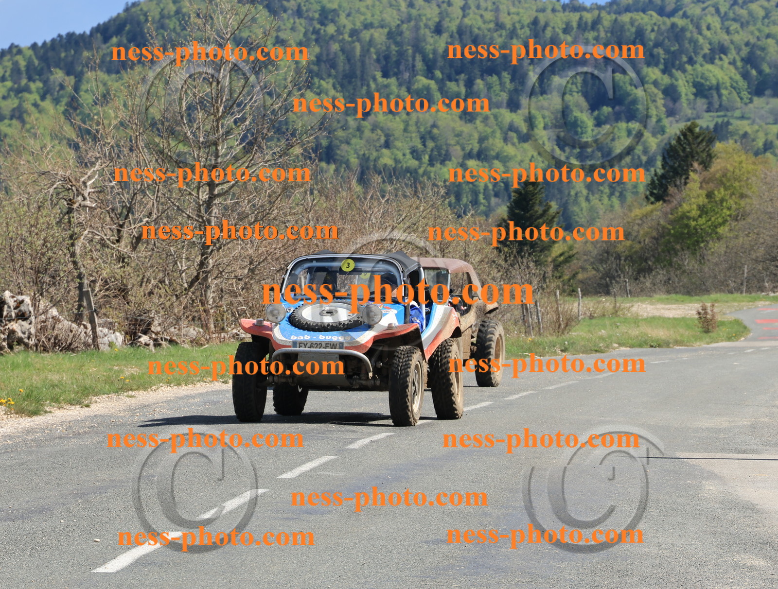 Col du Grand Colombier (196).JPG