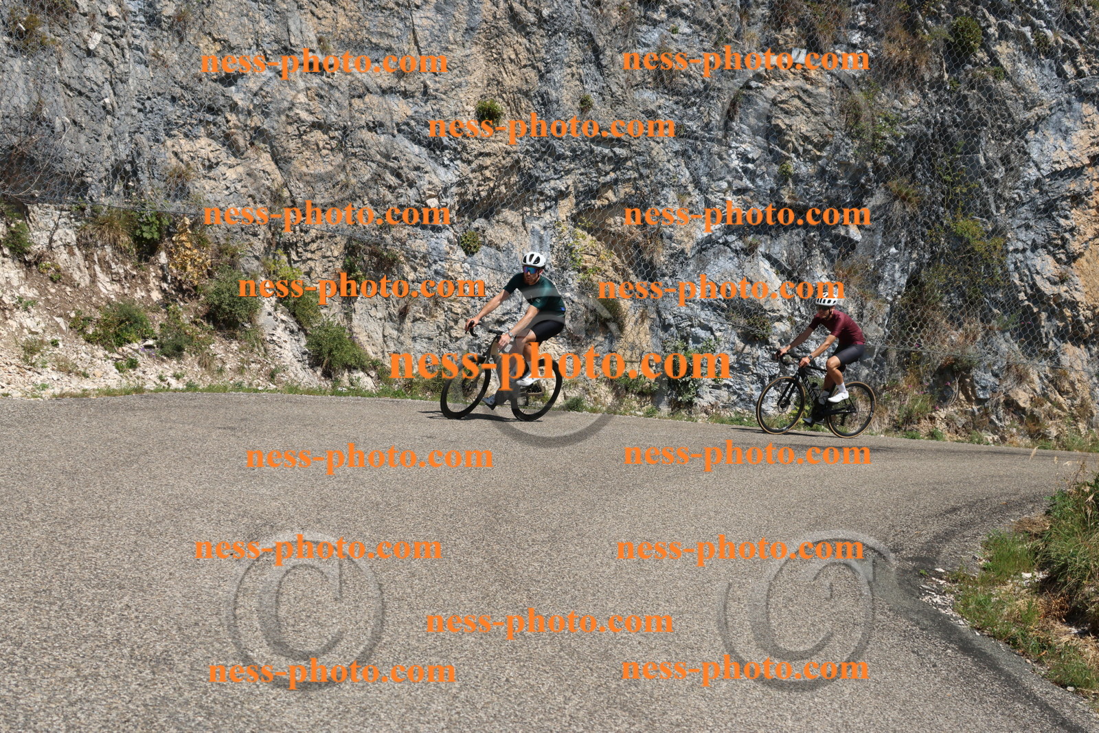 Col du Grand Colombier (423).JPG