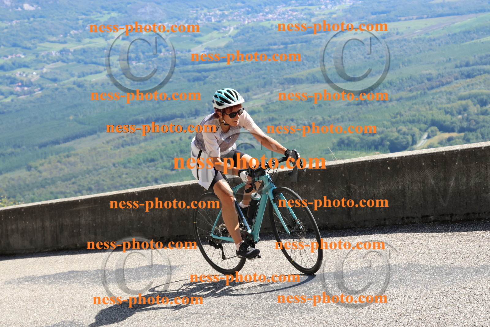 Col du Grand Colombier (724).JPG