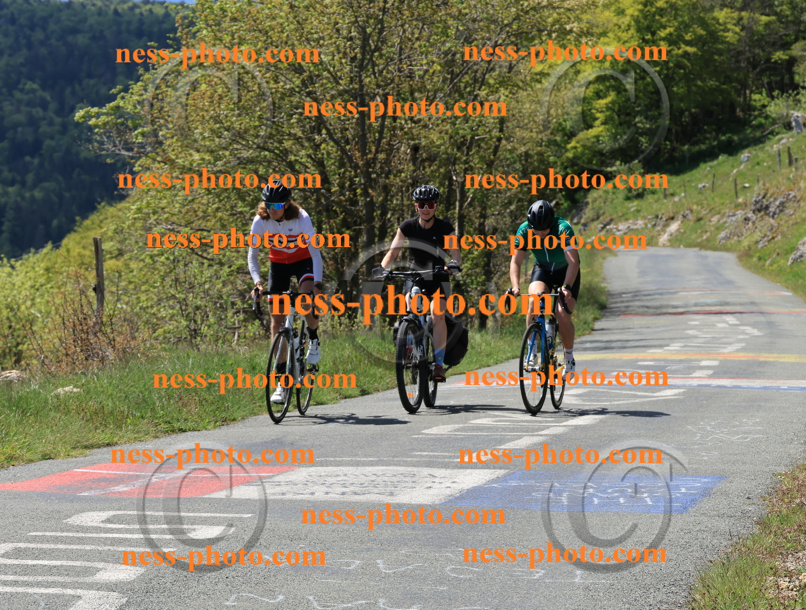Col du Grand Colombier (42).JPG
