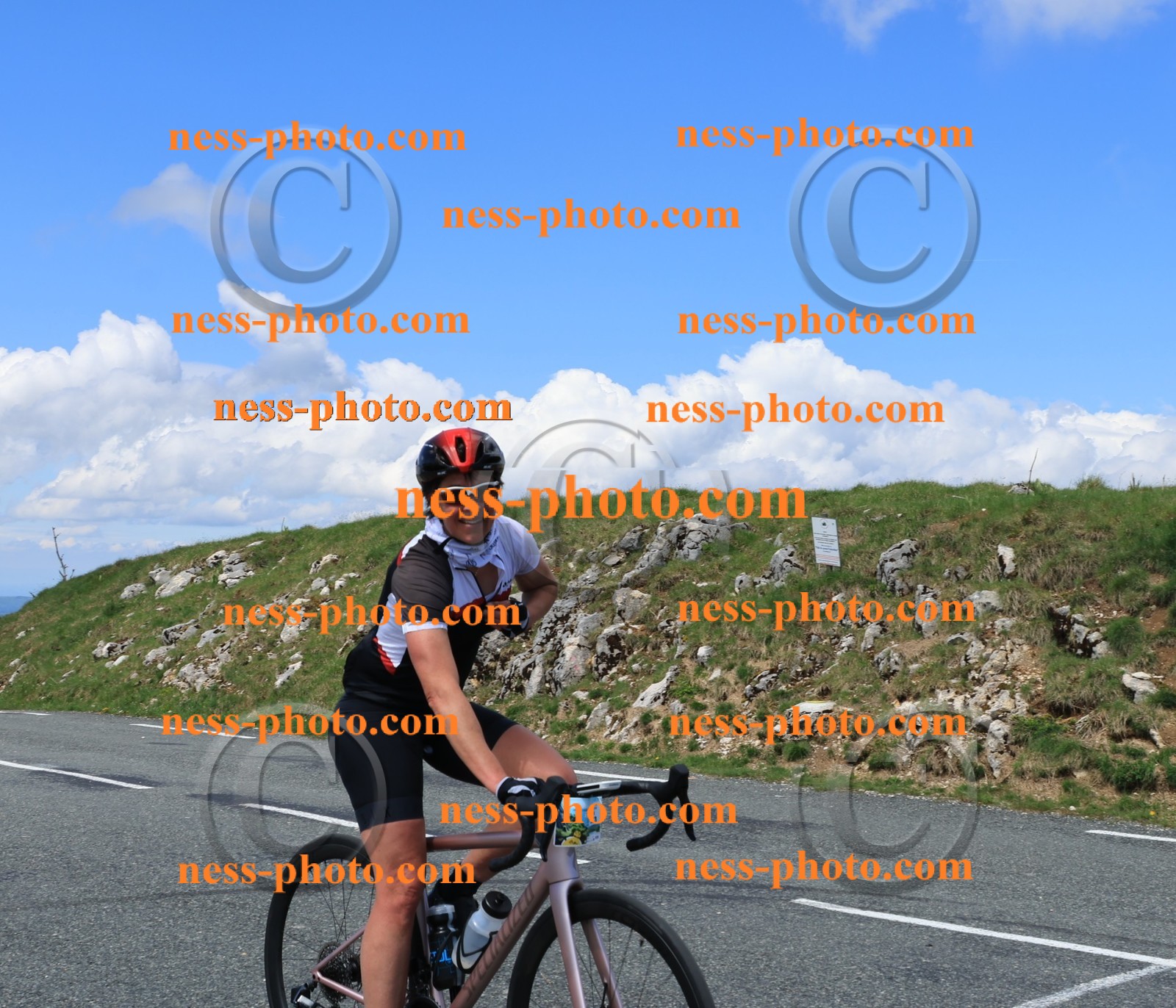 Col du Grand Colombier (2478).JPG