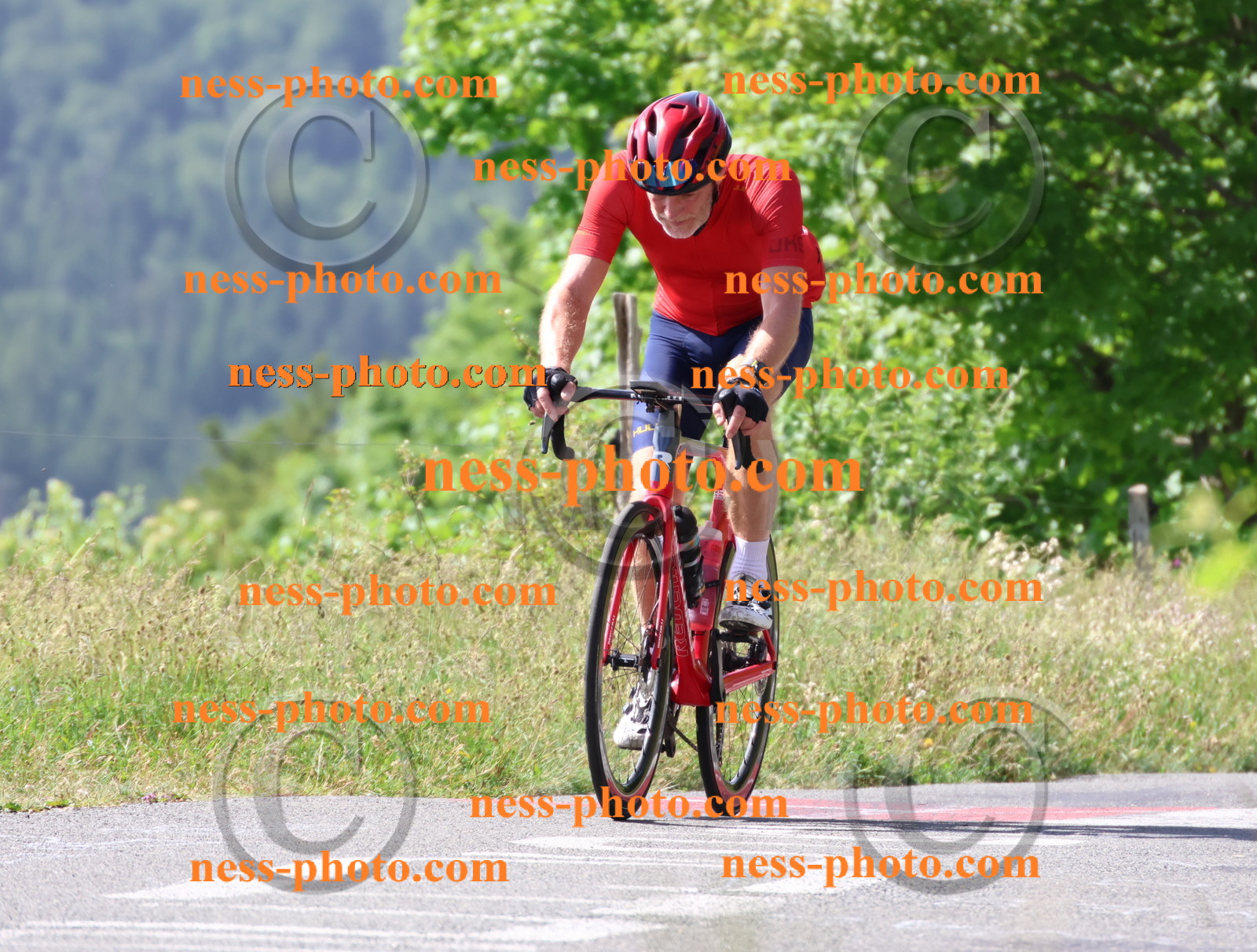 Col du grand Colombier (661).JPG