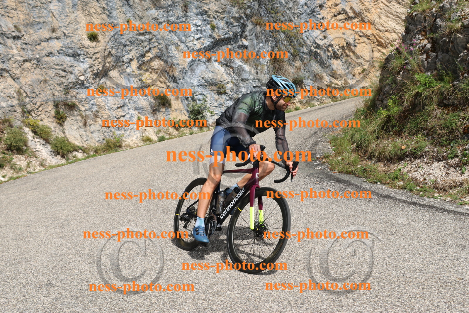 Col du Grand Colombier (562).JPG