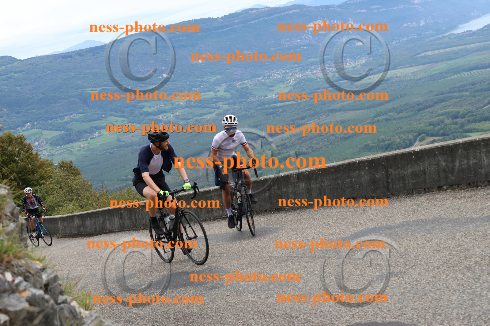 Col du Grand Colombier (1409).JPG