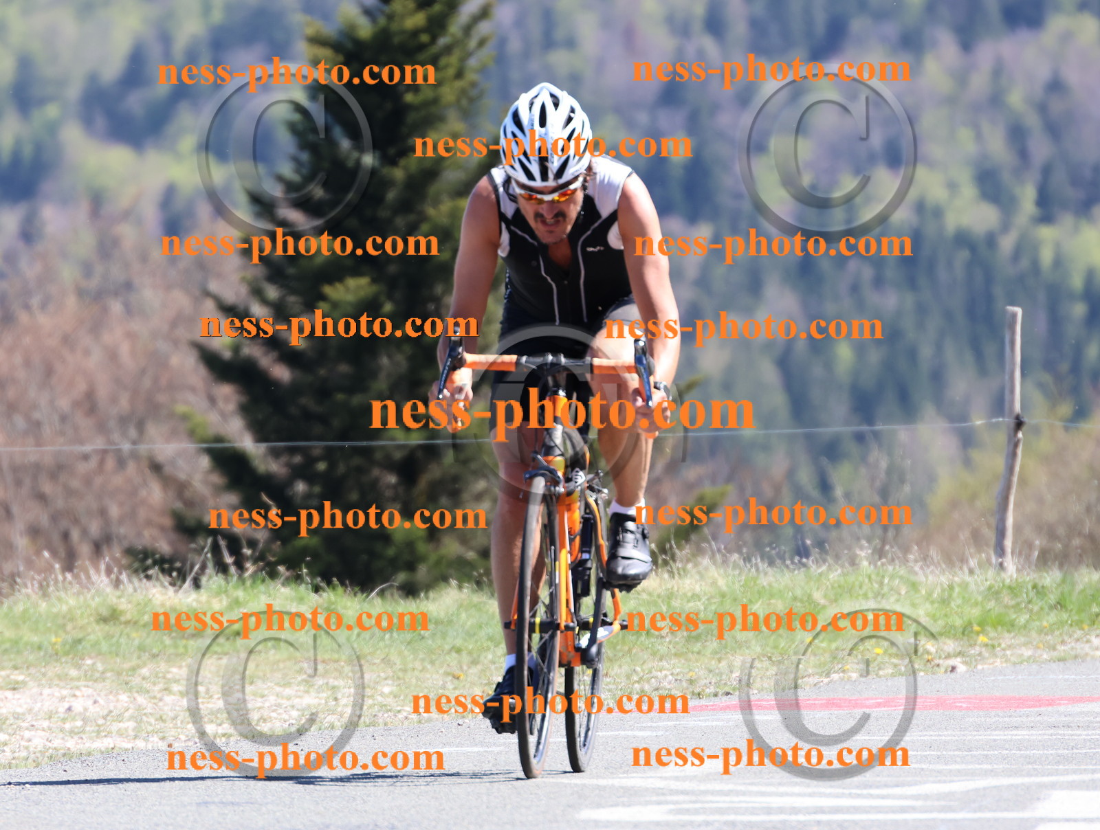 Col du Grand Colombier (1036).JPG