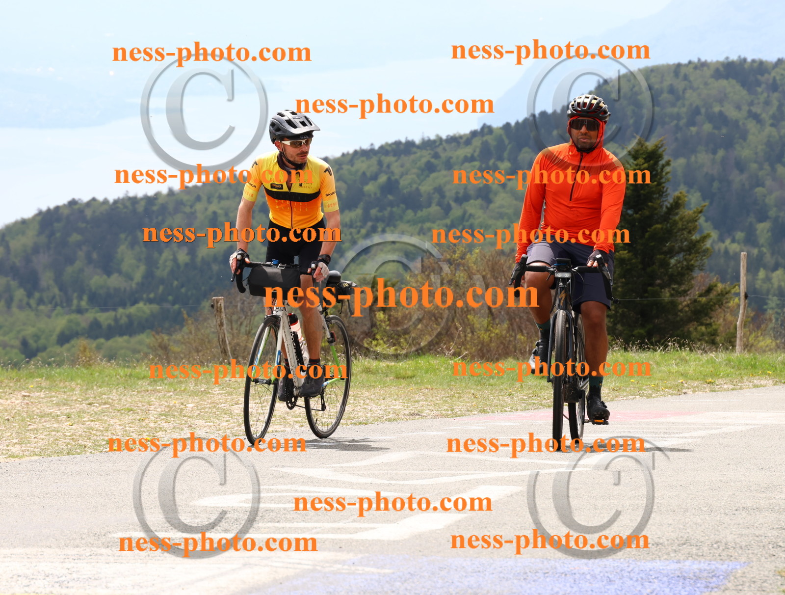 Col du Grand Colombier (137).JPG