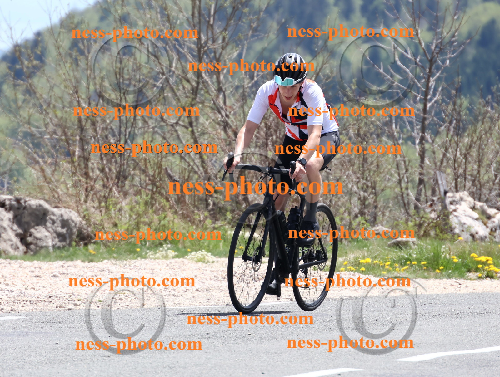 Col du Grand Colombier (759).JPG