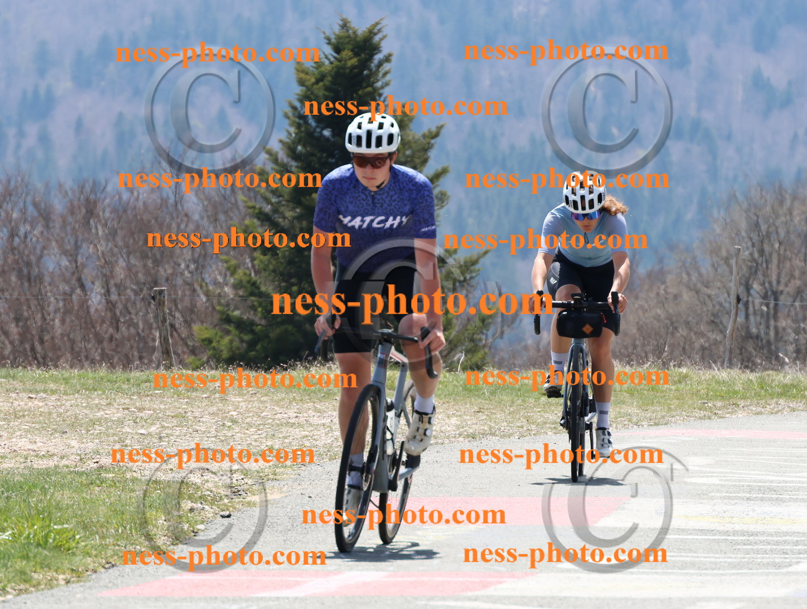 Col du Grand Colombier (291).JPG