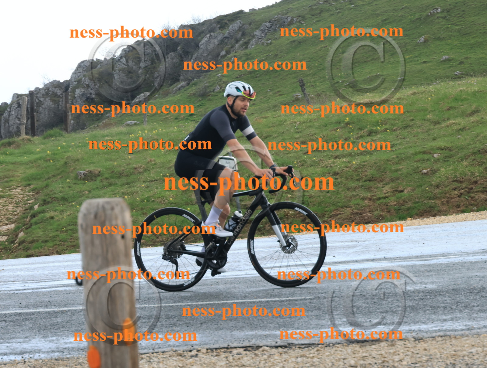 Col du Grand Colombier (244).JPG