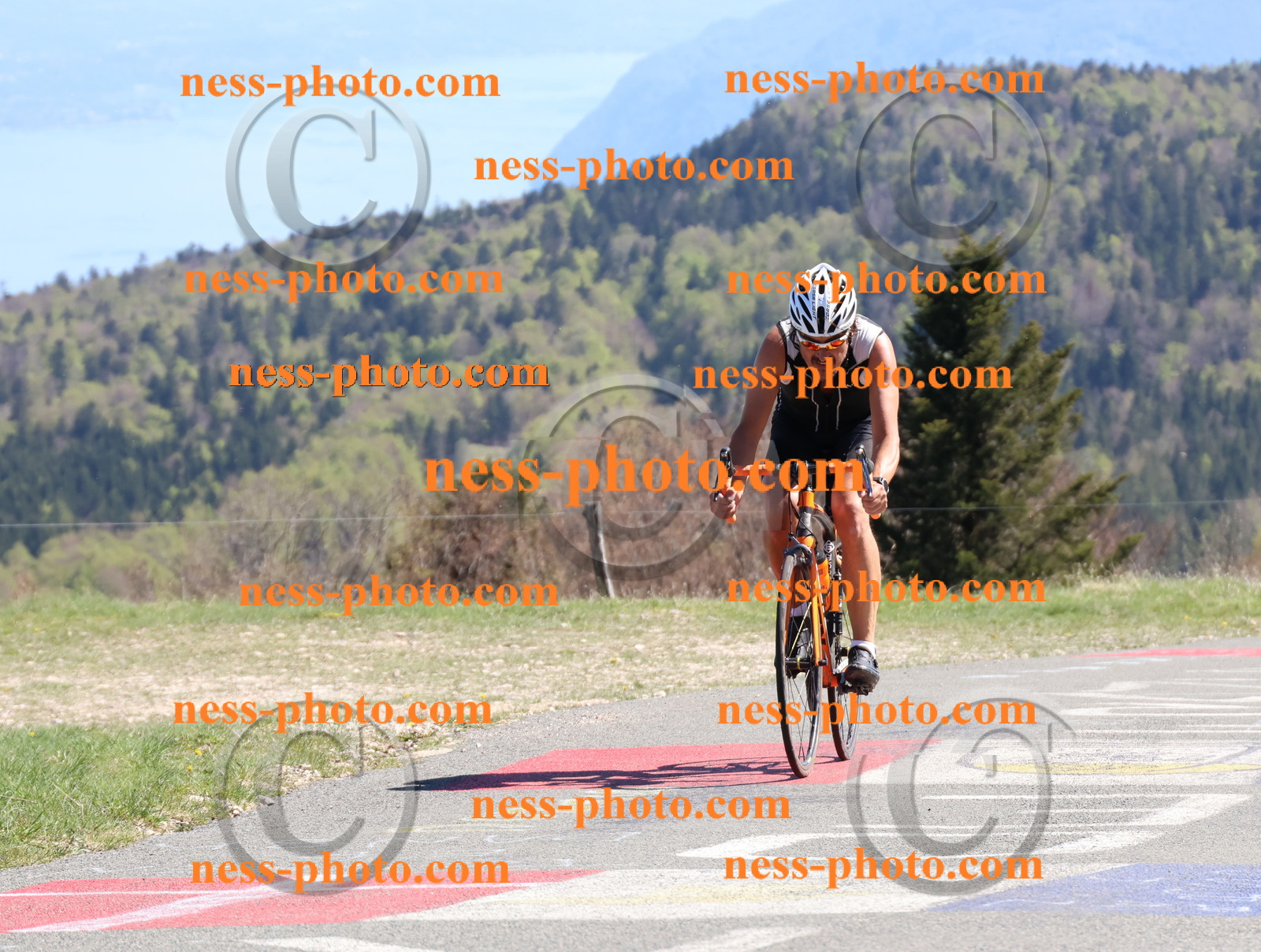 Col du Grand Colombier (1037).JPG