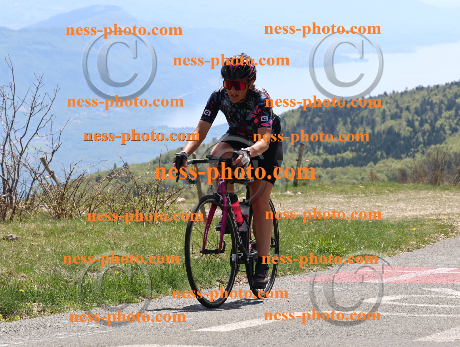 Col du Grand Colombier (554).JPG