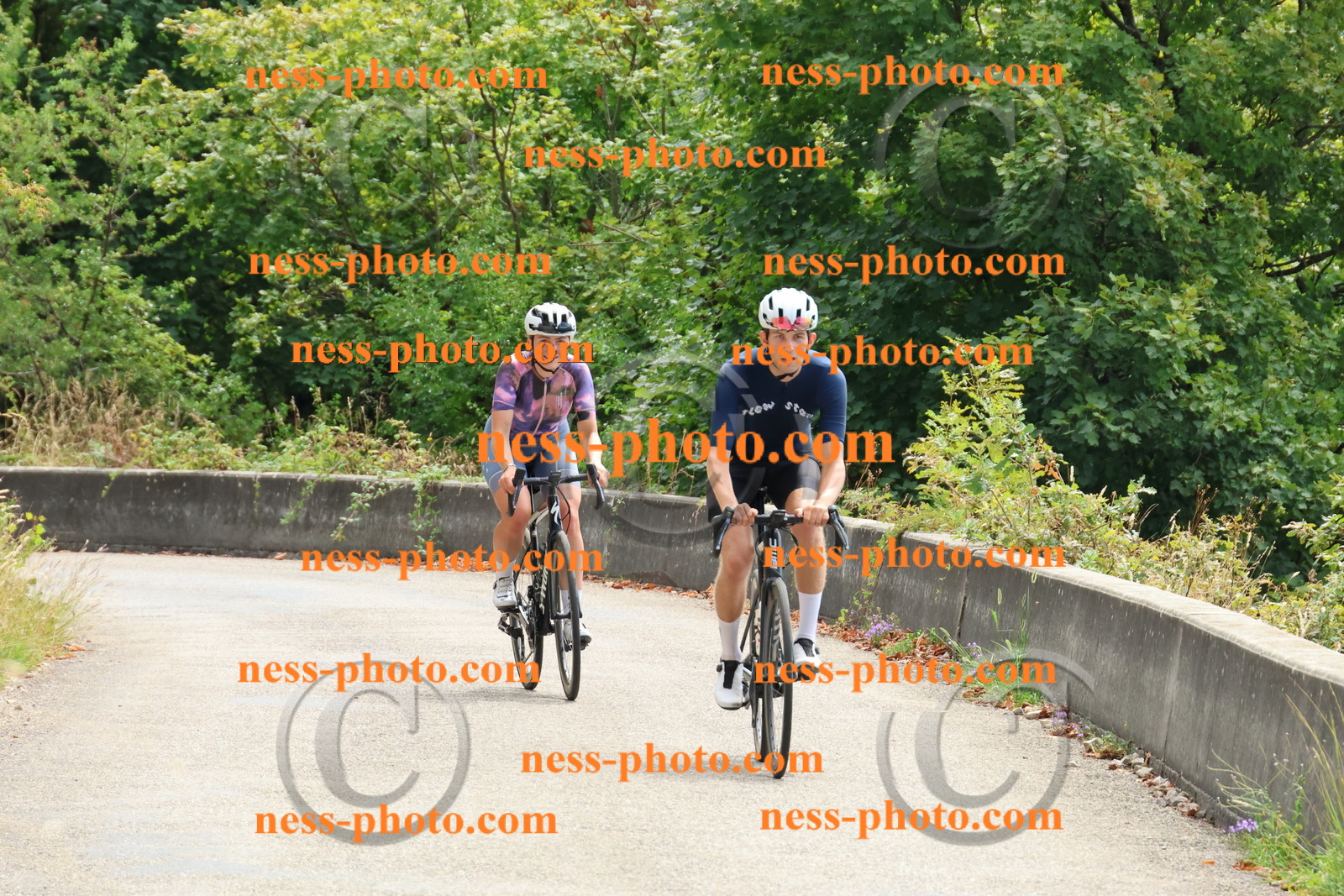 Col du Grand Colombier (249).JPG