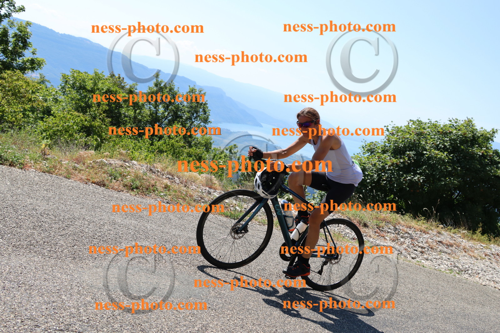 Col du Grand Colombier (428).JPG