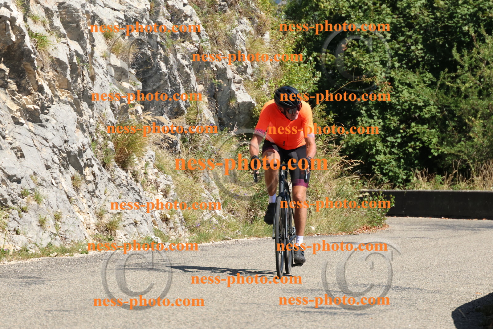 Col du Grand Colombier (630).JPG