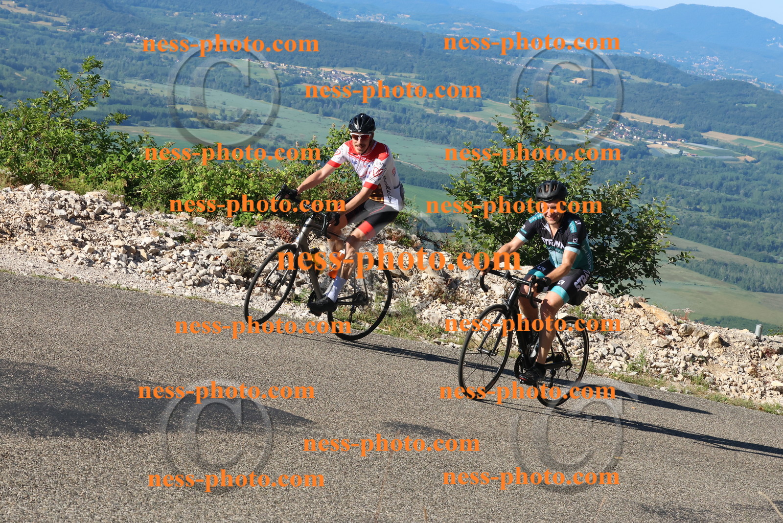 Col du Grand Colombier (63).JPG