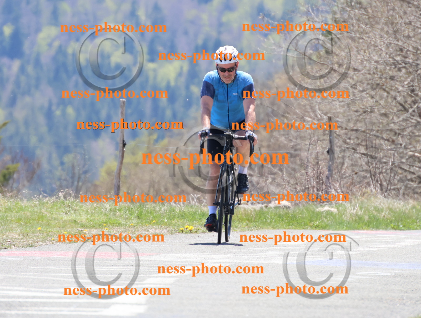 Col du Grand Colombier (583).JPG