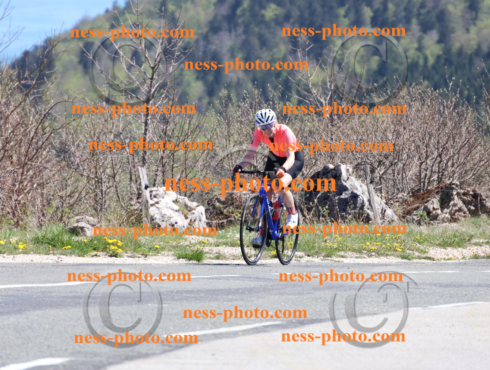 Col du Grand Colombier (939).JPG