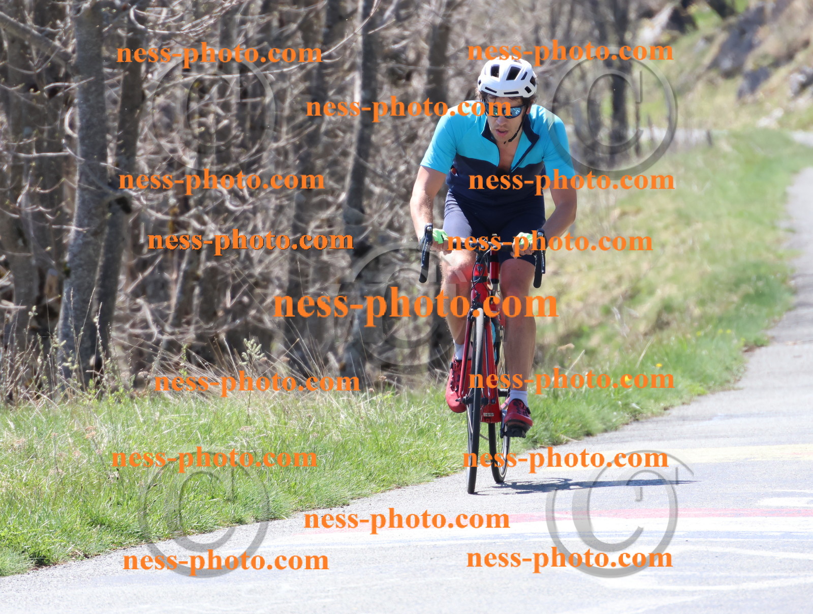 Col du Grand Colombier (316).JPG
