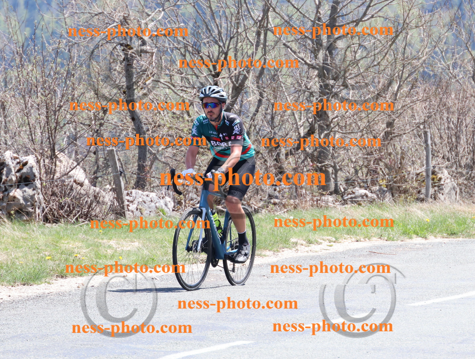 Col du Grand Colombier (874).JPG