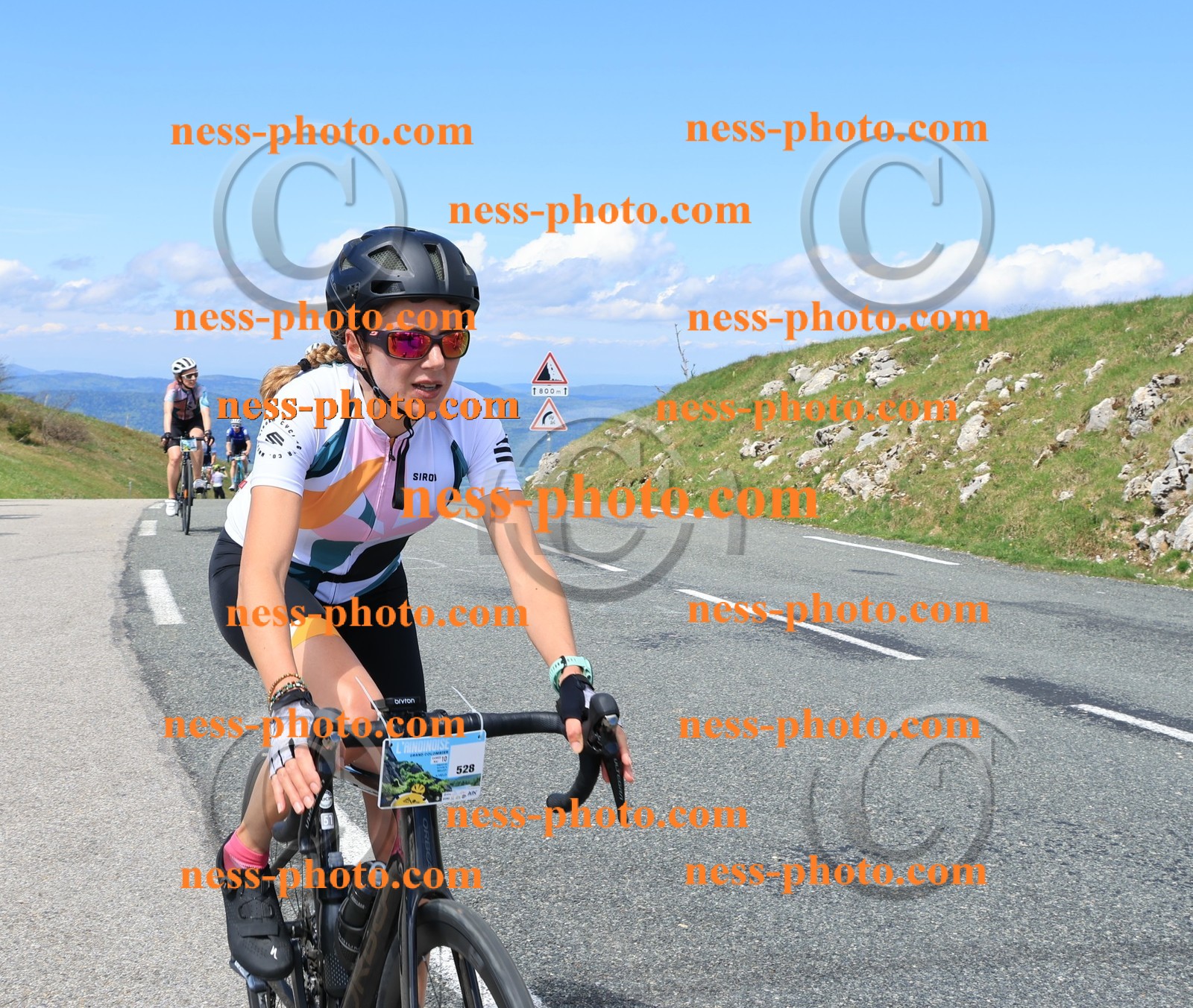 Col du Grand Colombier (1132).JPG