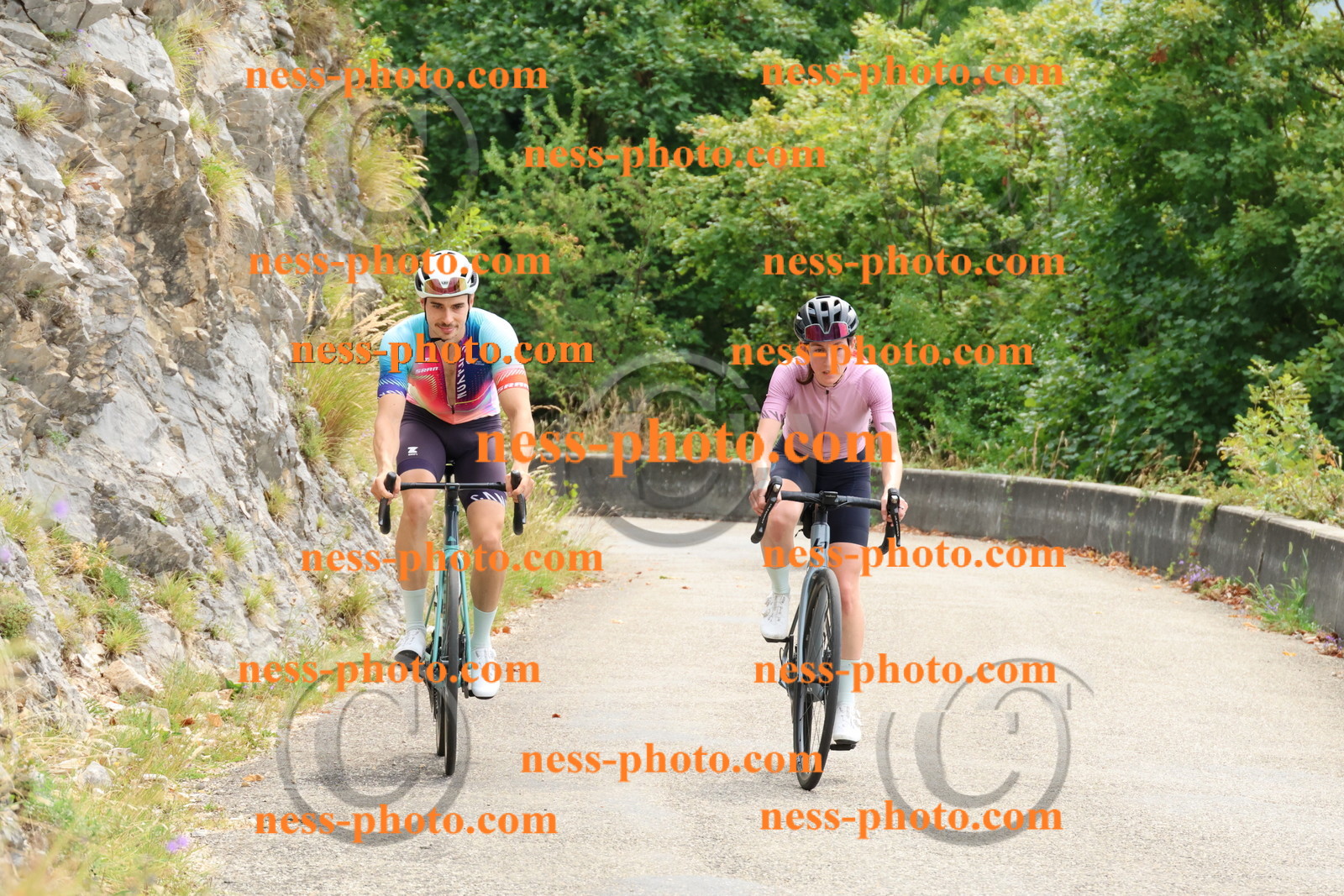 Col du Grand Colombier (130).JPG