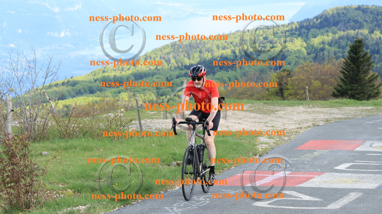 Col du Grand Colombier (3246).JPG