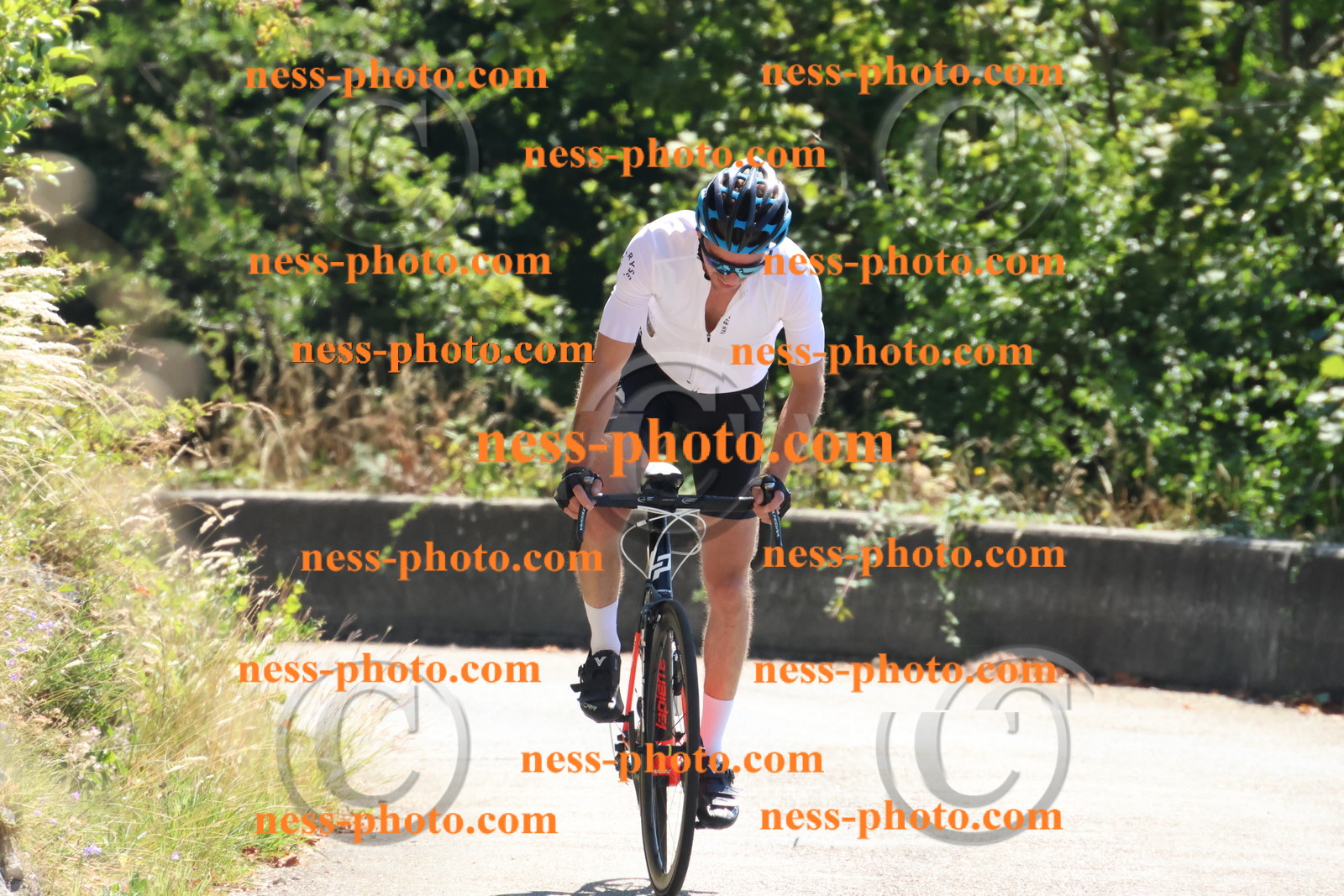 Col du Grand Colombier (169).JPG