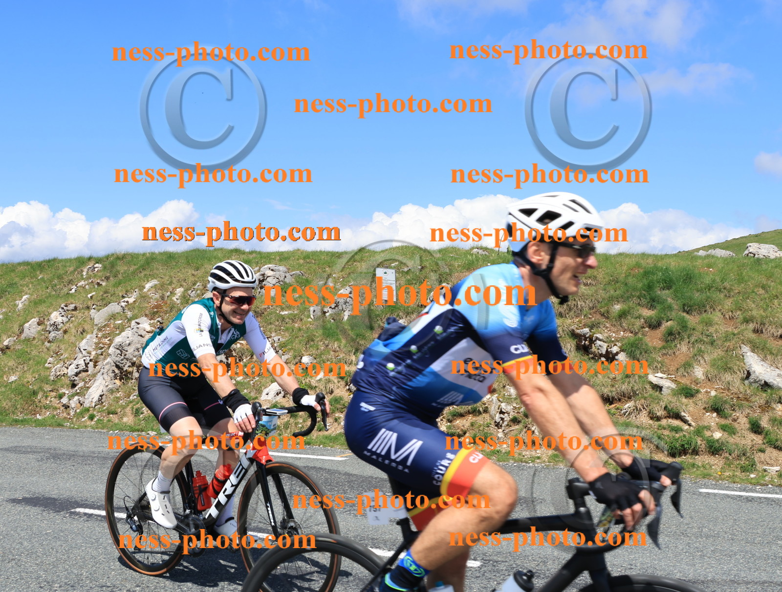 Col du Grand Colombier (2247).JPG