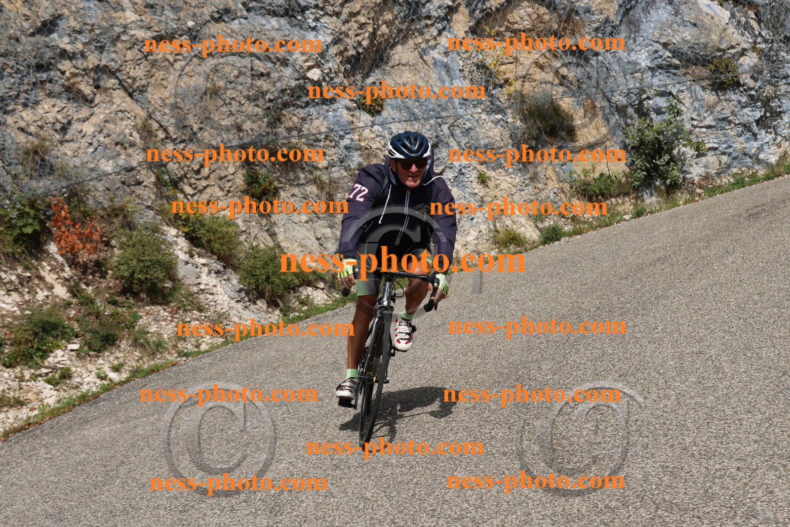 Col du Grand Colombier (573).JPG