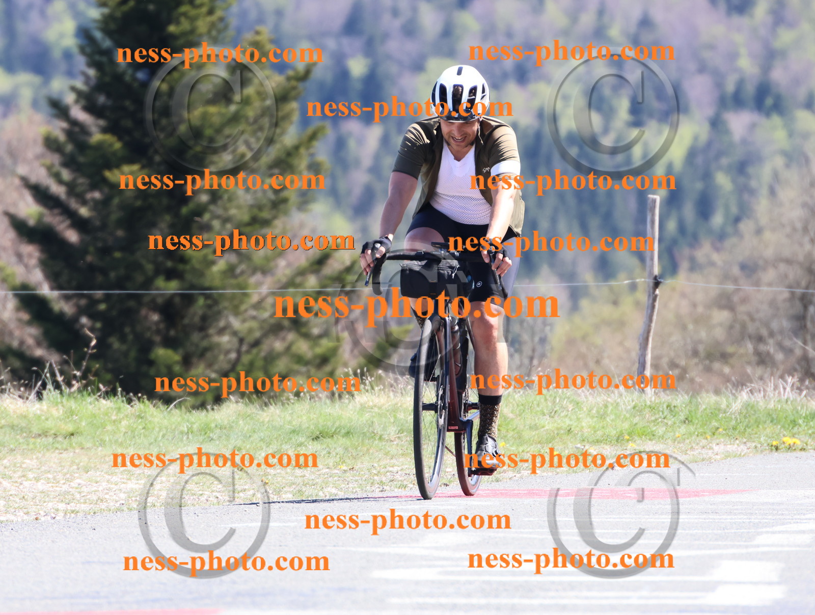 Col du Grand Colombier (990).JPG