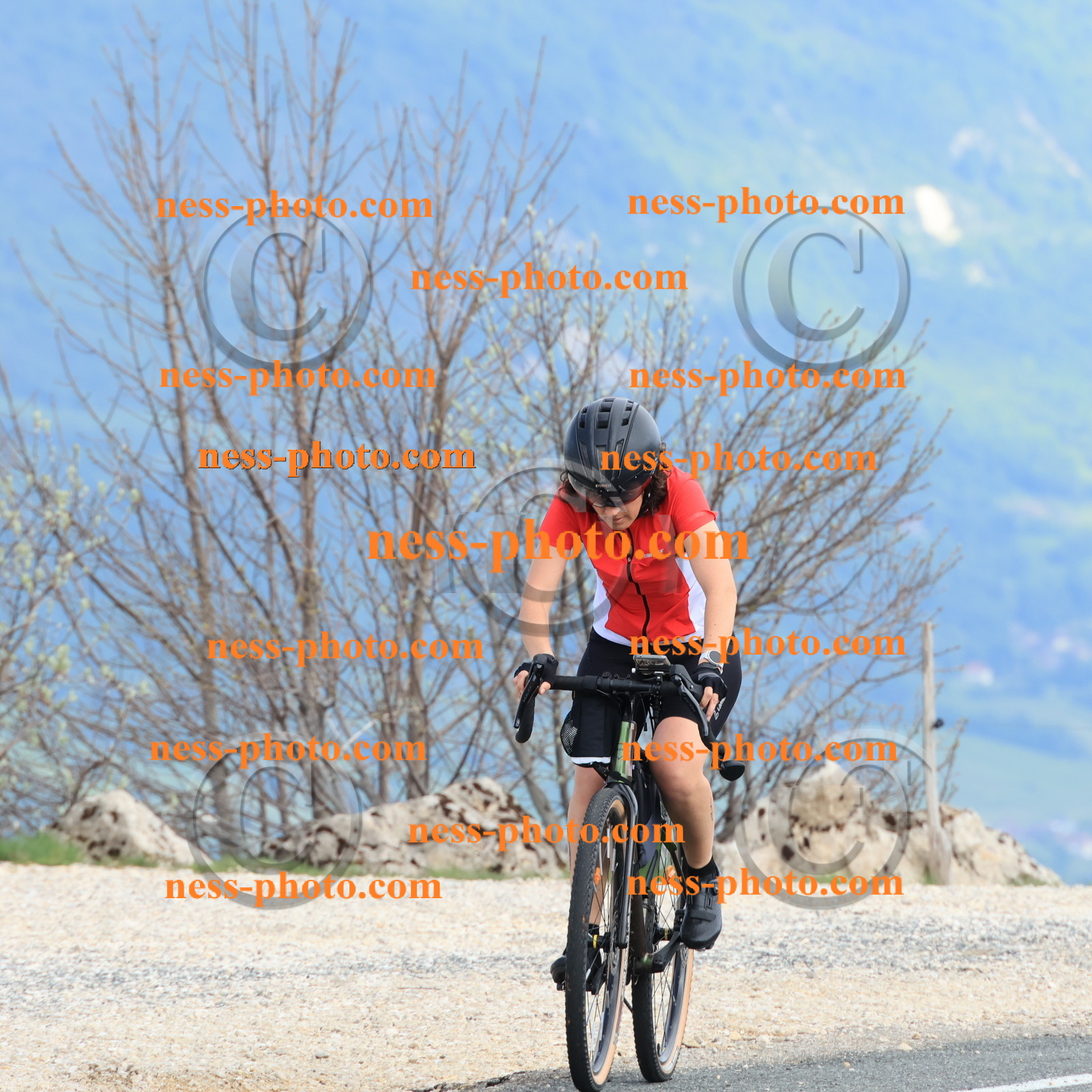 Col du Grand Colombier (284).JPG