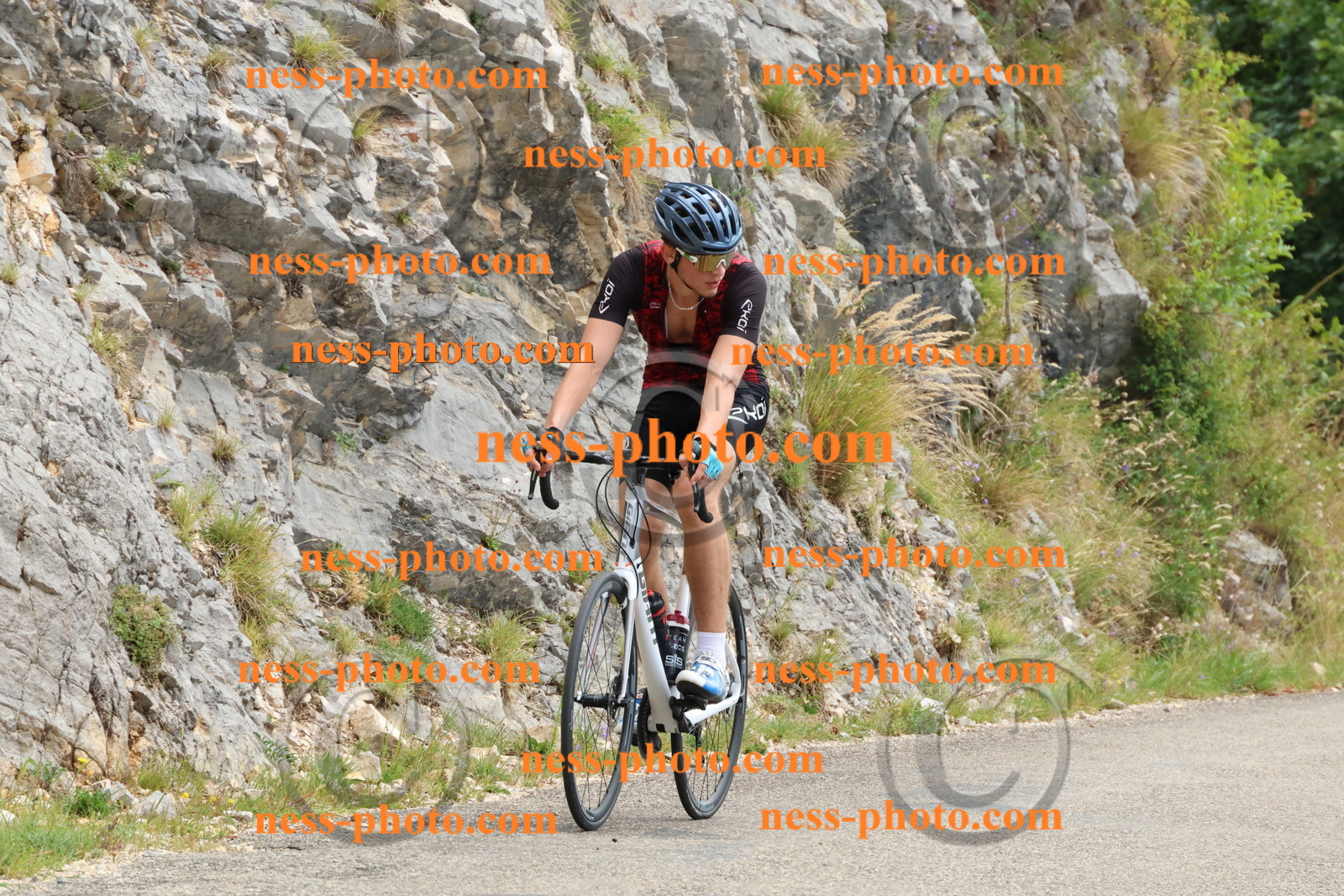 Col du Grand Colombier (194).JPG