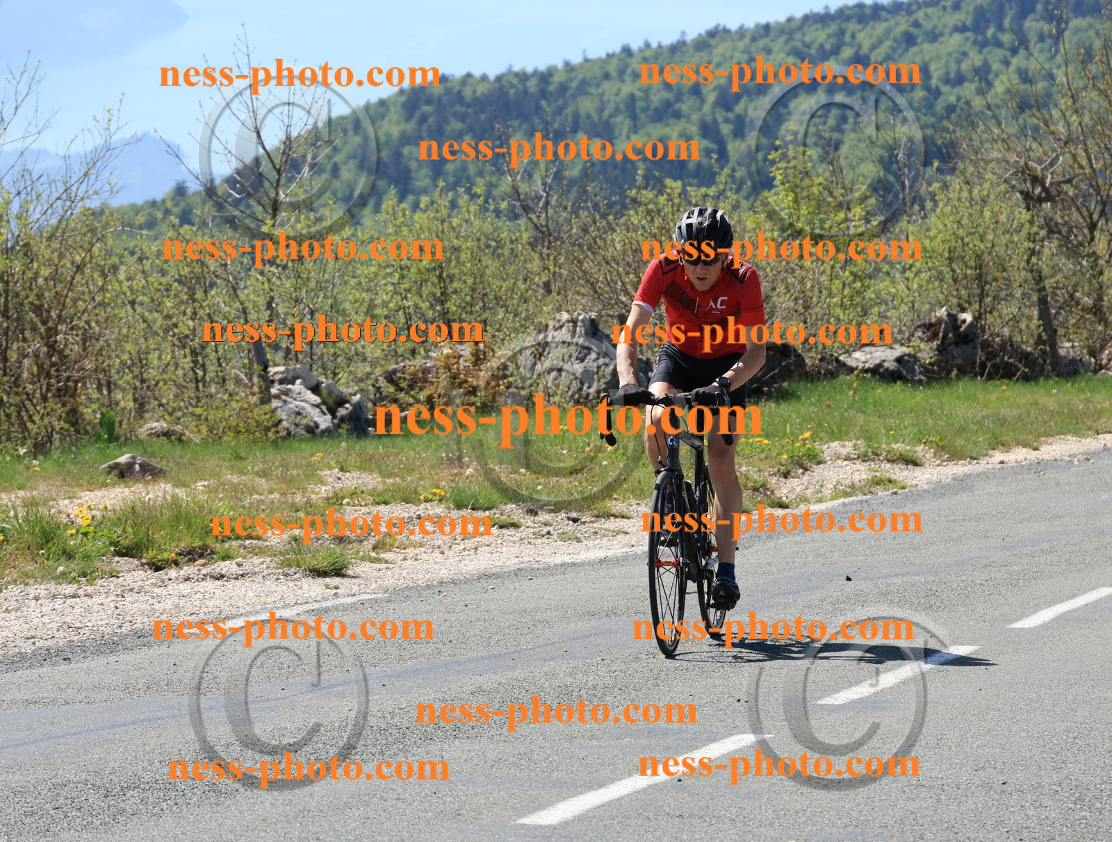 Col du Grand Colombier (28).JPG