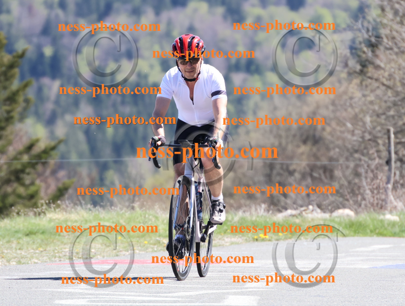 Col du Grand Colombier (984).JPG