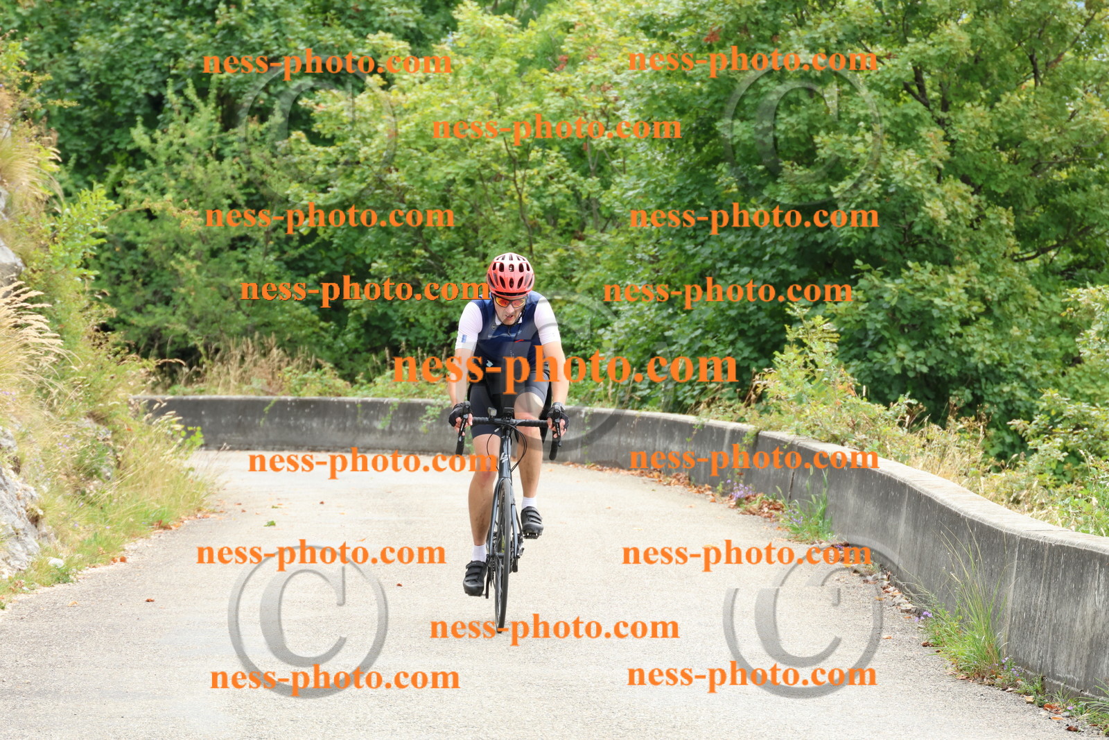 Col du Grand Colombier (94).JPG