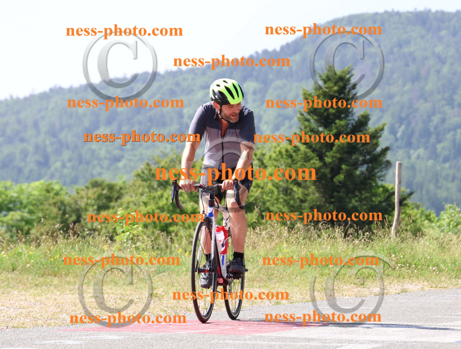 Col du grand Colombier (570).JPG