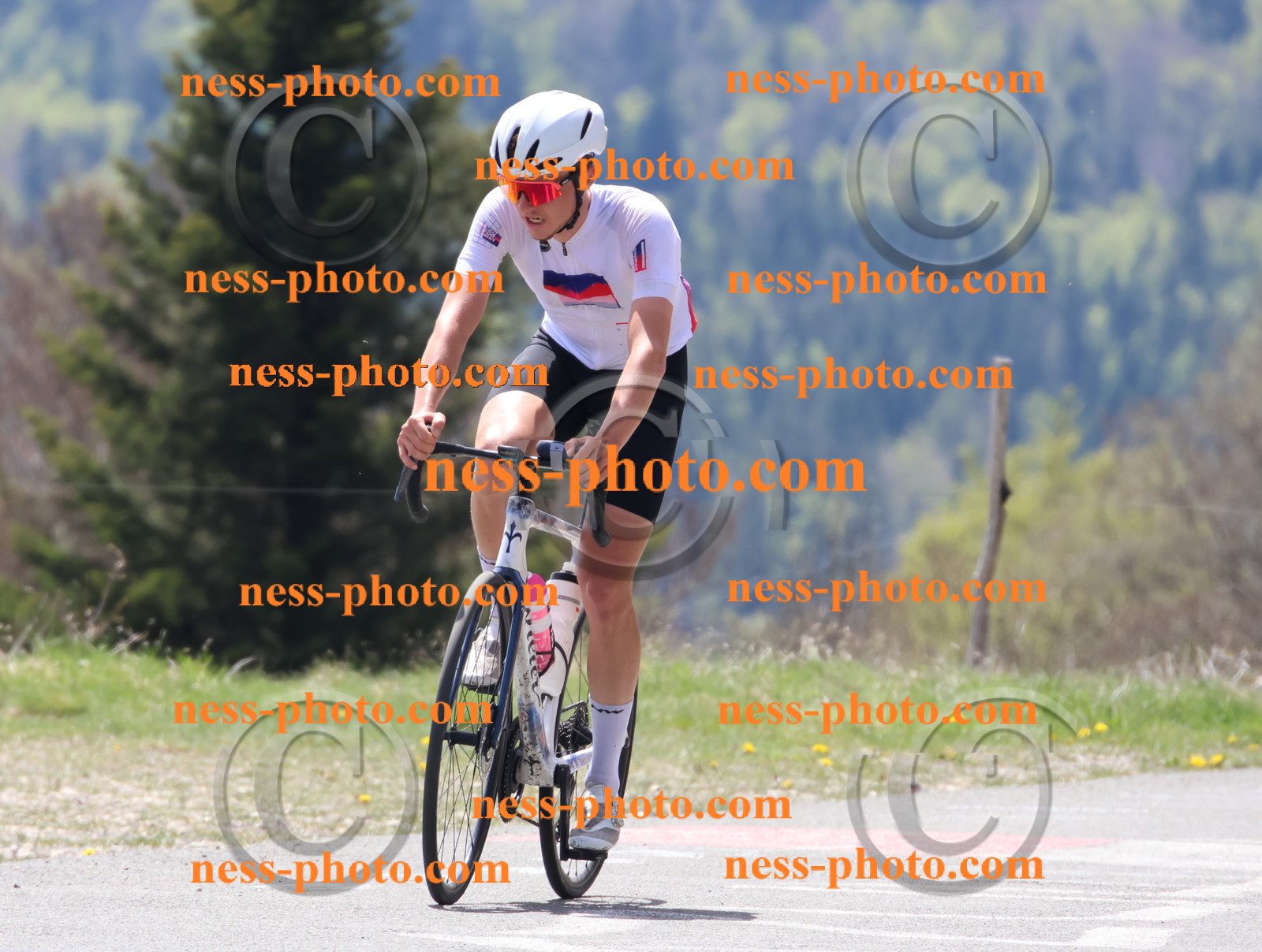 Col du Grand Colombier (250).JPG