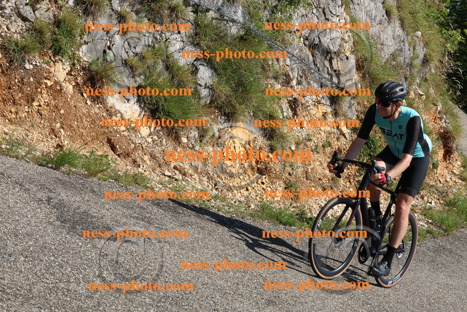 Col du Grand Colombier (454).JPG