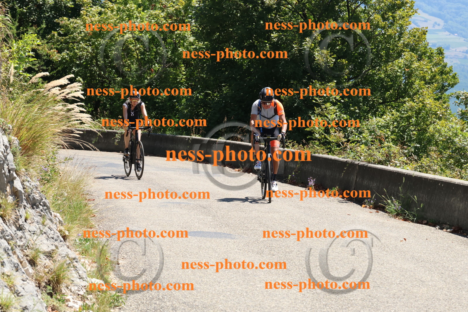 Col du Grand Colombier (242).JPG