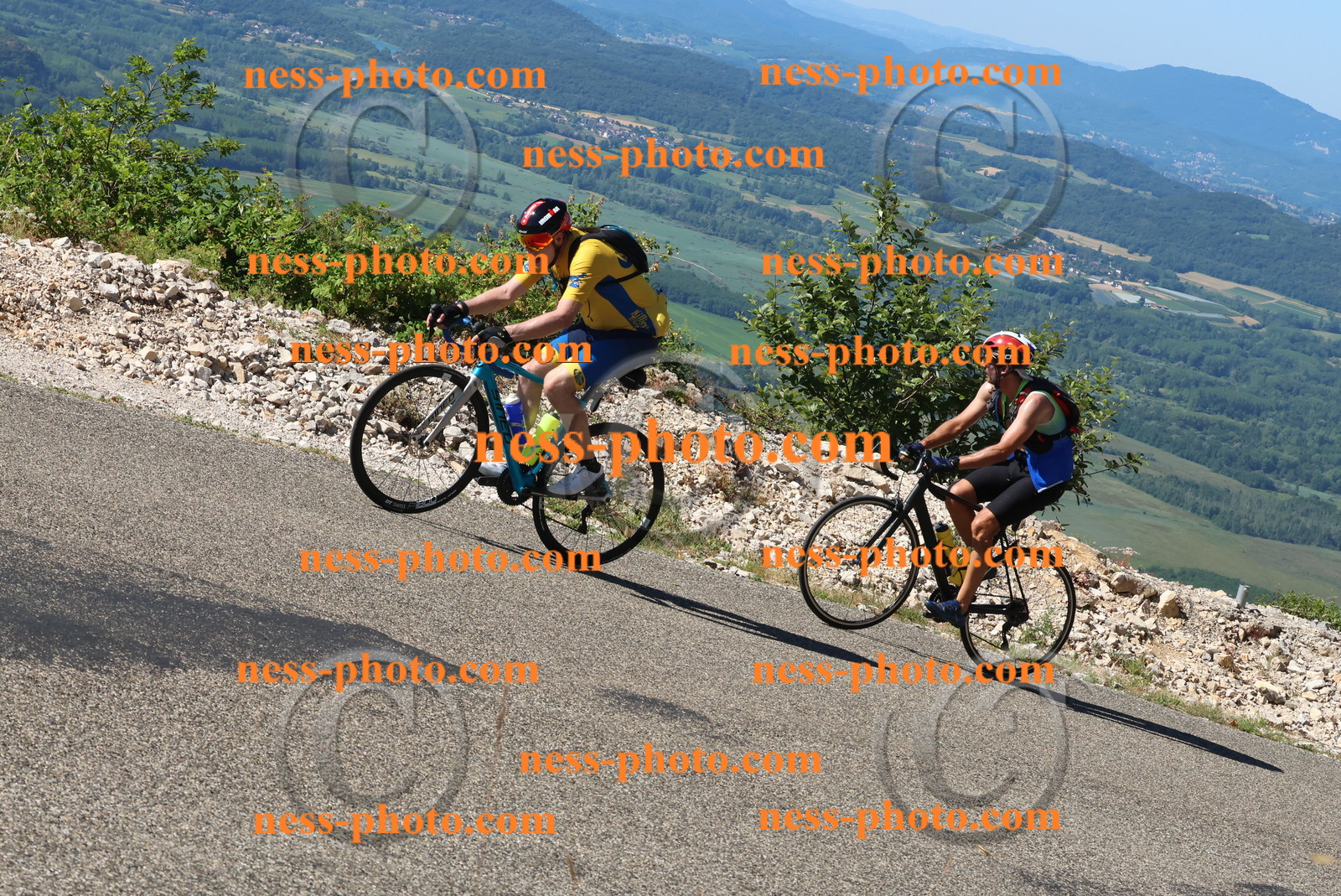 Col du Grand Colombier (295).JPG