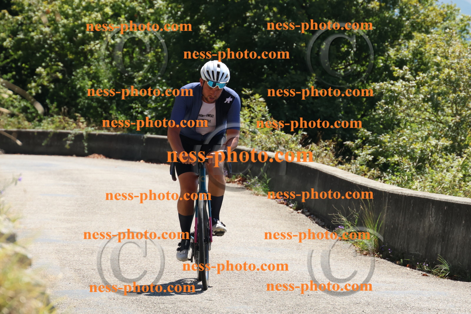 Col du Grand Colombier (189).JPG