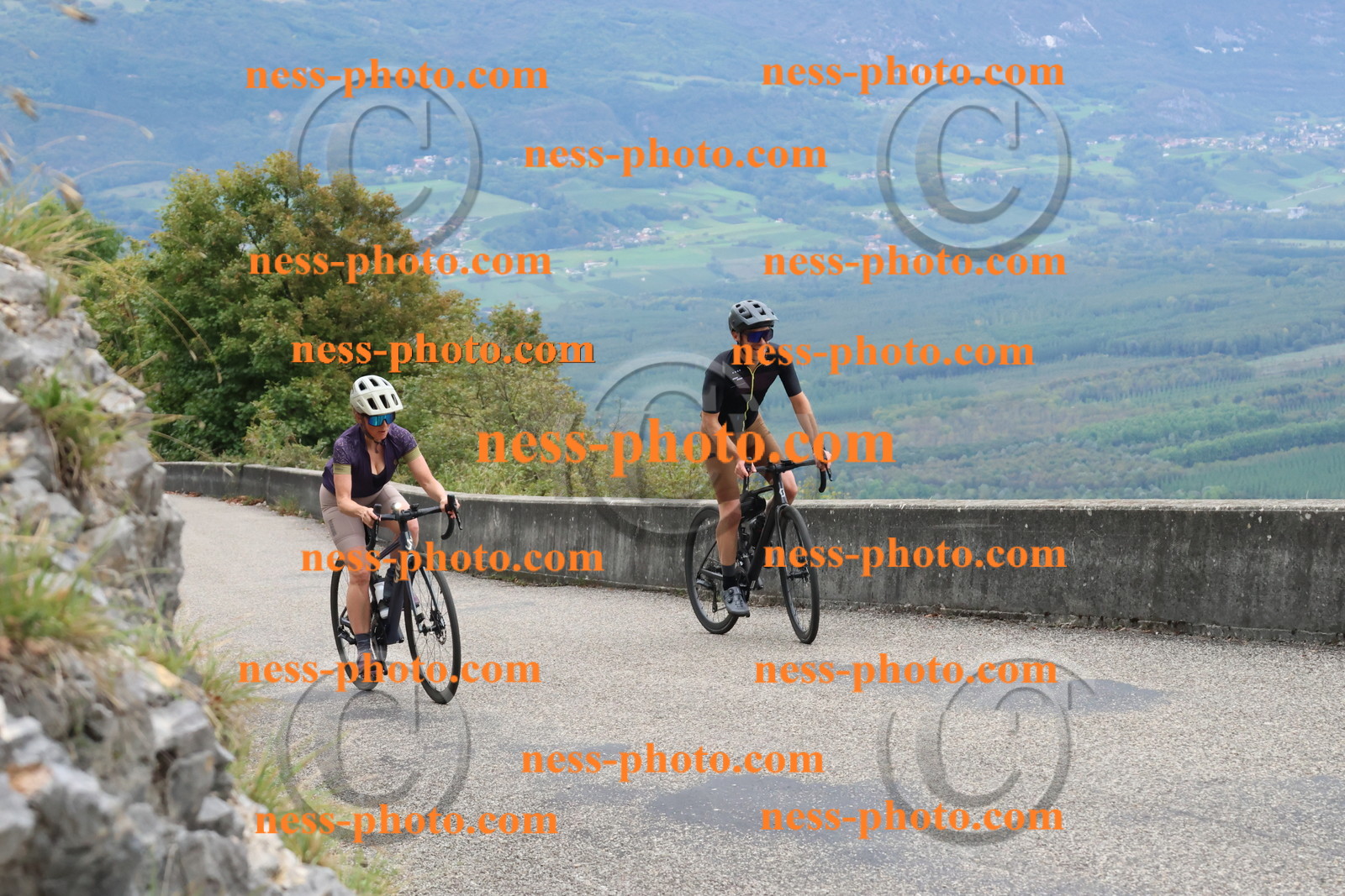 Col du Grand Colombier (288).JPG