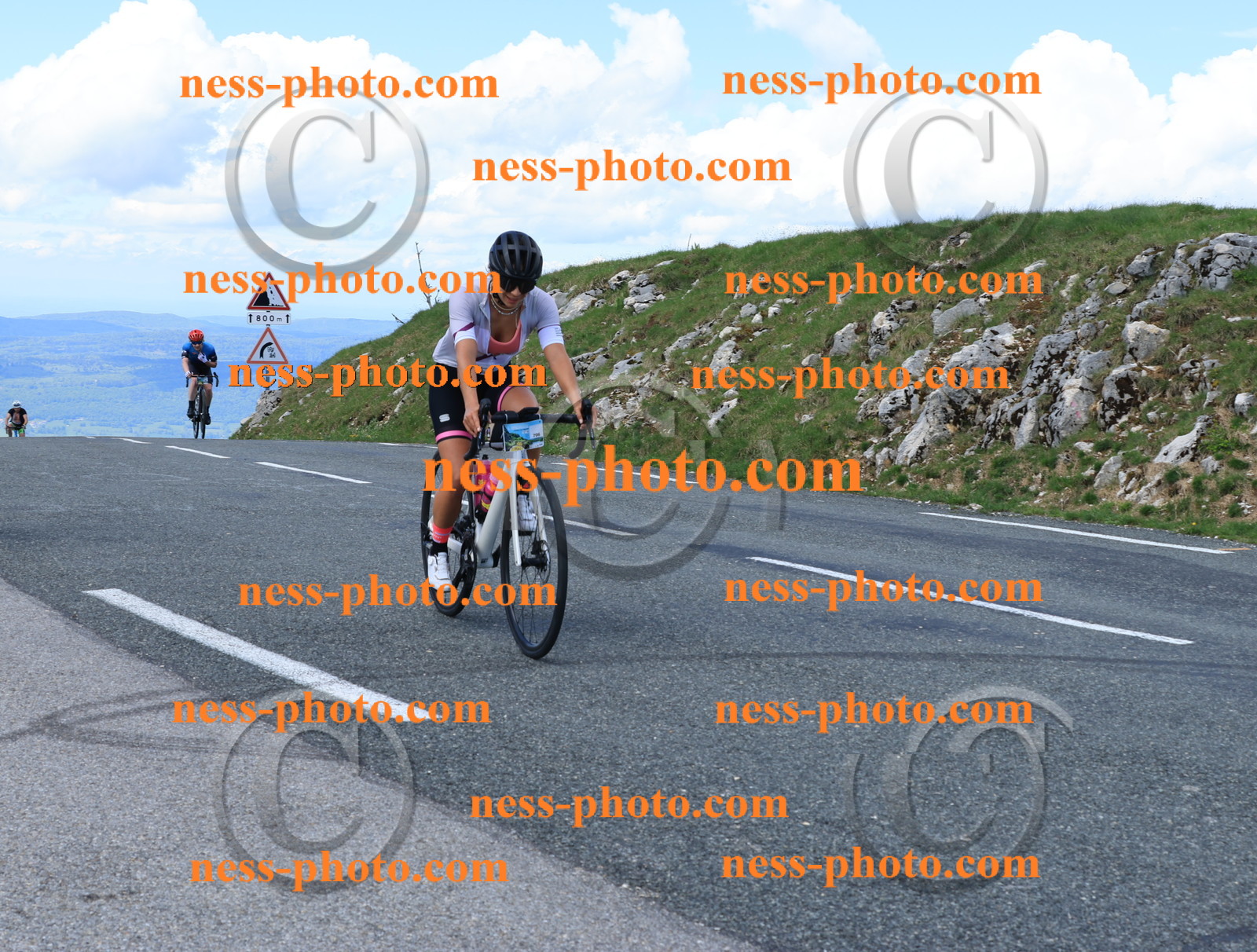 Col du Grand Colombier (2495).JPG